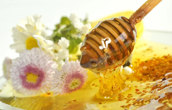 Honey and flowers — Stock Photo, Image
