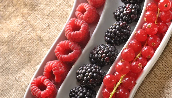 Fresh berries — Stock Photo, Image