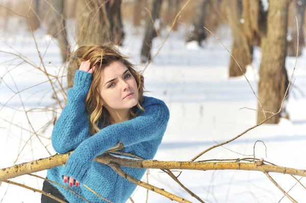 Girl portrait and winter scene — Stock Photo, Image