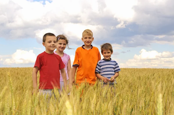 Smiling children in cereal field — Stock Photo, Image