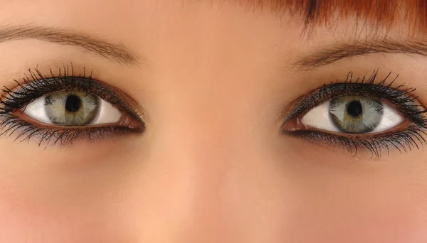 Olhos cor closeup — Fotografia de Stock