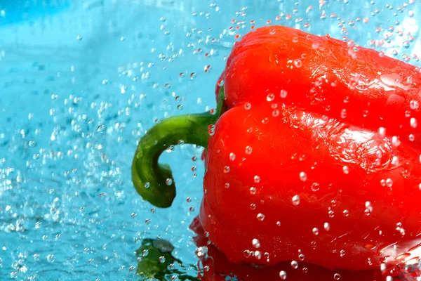 Red pepper in water — Stock Photo, Image