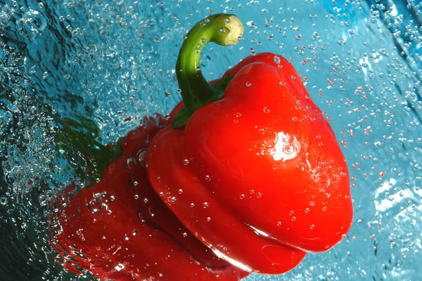 Pepper red in water — Stock Photo, Image
