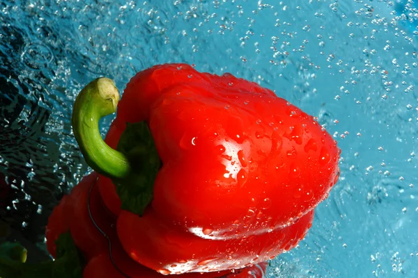 Red pepper in water — Stock Photo, Image