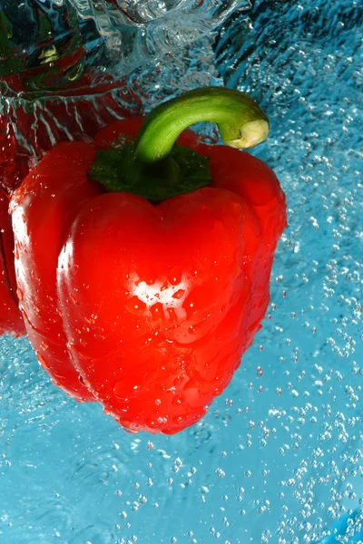 Świeża papryka czerwona w wodzie — Zdjęcie stockowe