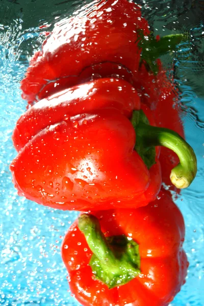 Two red pepper — Stock Photo, Image