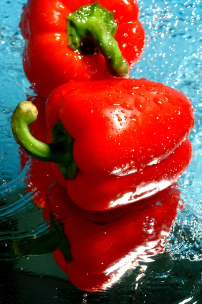 Two red pepper in water — Stock Photo, Image