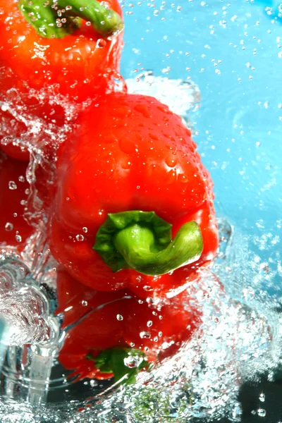 Piękna czerwona papryka w wodzie — Zdjęcie stockowe