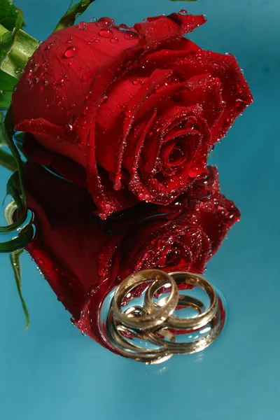 Роза с кольцами на водой синий bg — стоковое фото