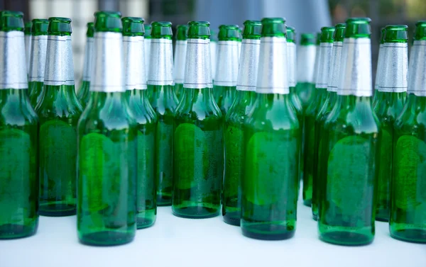 Bierflaschen — Stockfoto