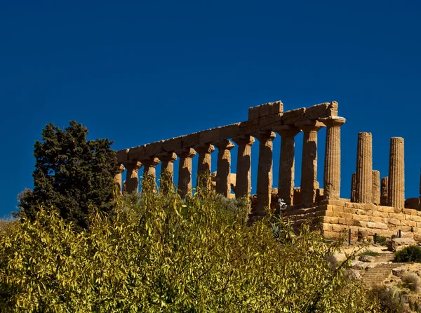 Valle del Tempio di Agrigento — Foto Stock