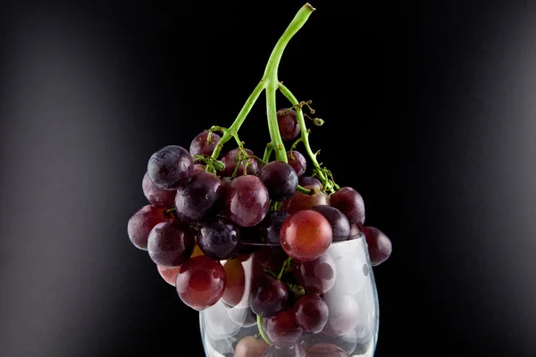 Winegrape — Stock Photo, Image