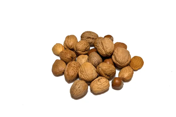 Wallnuts — 图库照片