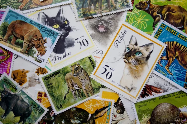 Dünya pulları: hayvanlar — Stok fotoğraf