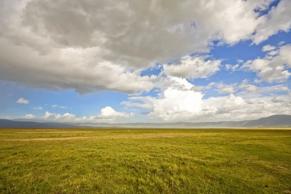 Im Ngorongoro-Krater — Stockfoto