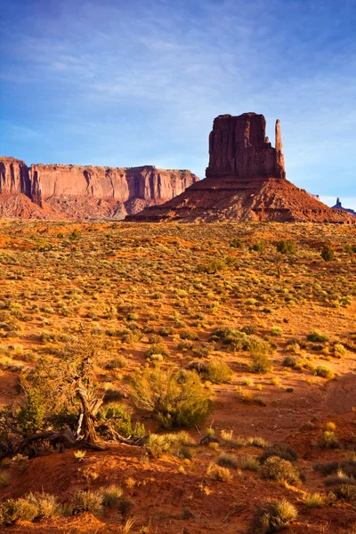 Monument Valley Morning — Stock Photo, Image