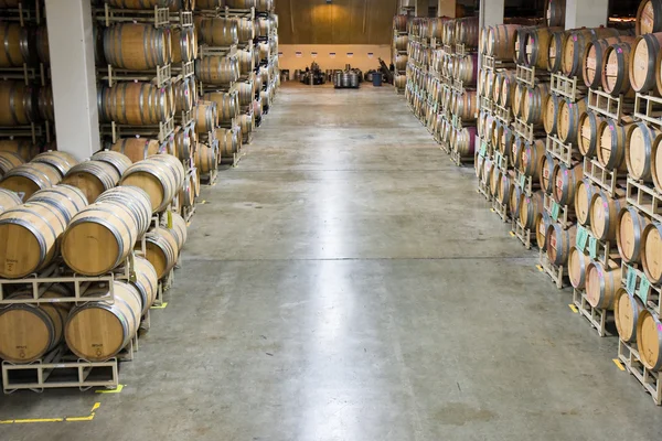 ナパ バレー ワイン貯蔵室 — ストック写真