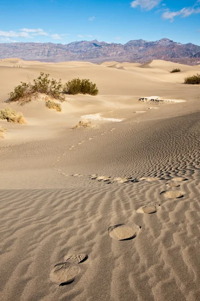 Ślady w piasku — Zdjęcie stockowe