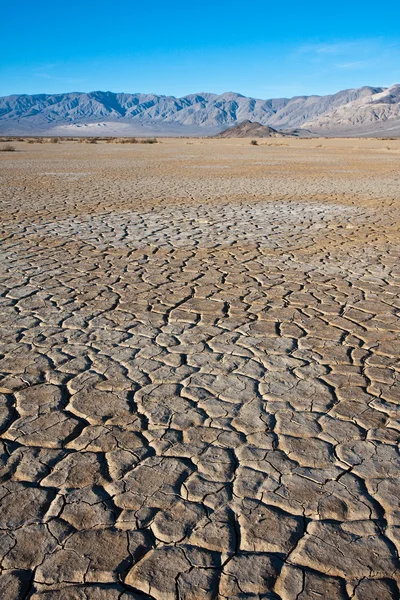 Bedding van het meer droog — Stockfoto