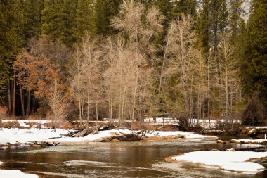 Winter in Yosemite Valley clipart