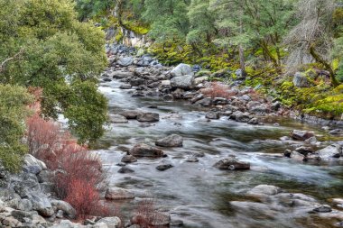 Merced River HDR clipart