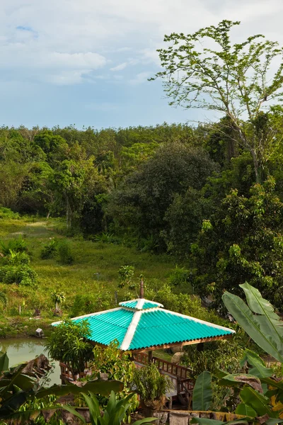 Pavillon im Dschungel — Stockfoto