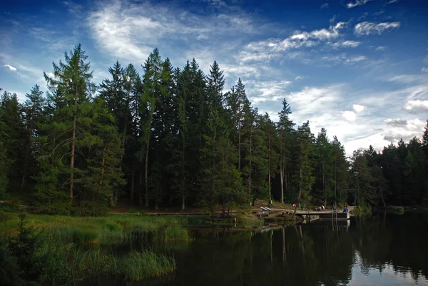 Paysage de montagne avec lac et bois Images De Stock Libres De Droits
