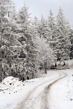 kış yolu