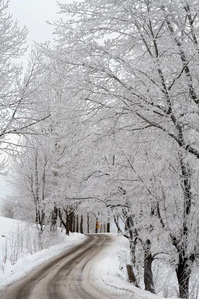 Zimní cesta — Stock fotografie