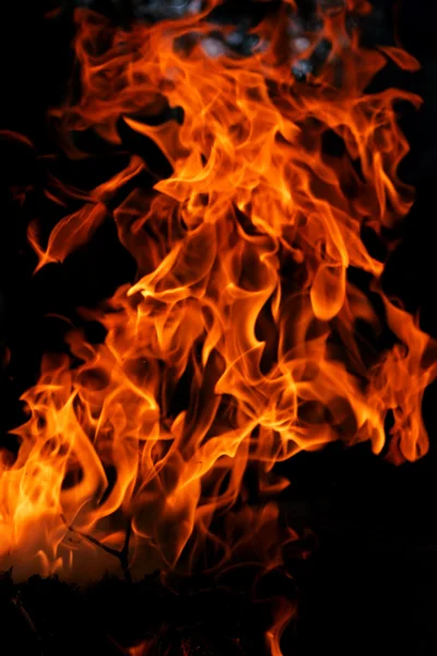 Fire Stock Image