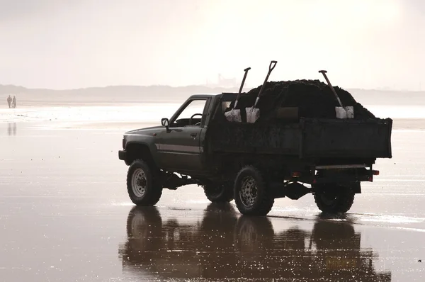 Camión de playa — Foto de Stock