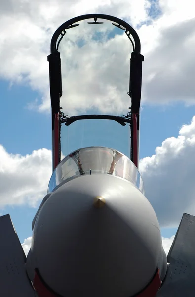 喷气式战斗机林冠 — 图库照片