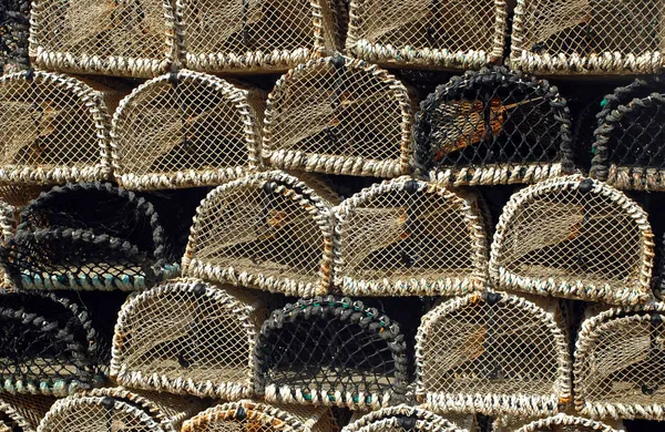 Ollas de langosta —  Fotos de Stock