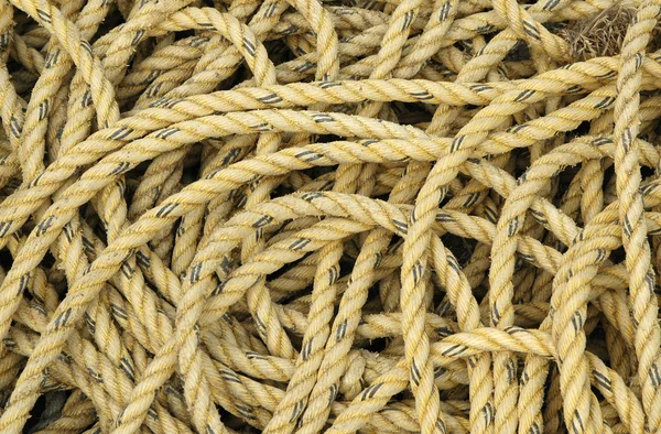 stock image Rope