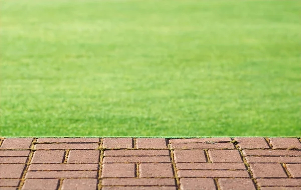 芝生とブロック — ストック写真