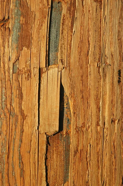 Wyblakły drewna — Zdjęcie stockowe