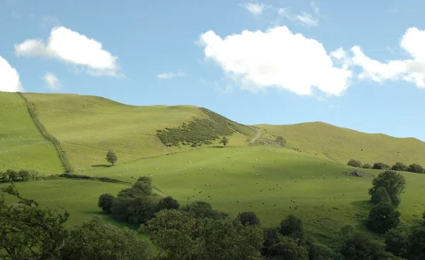 stock image Rolling hillside