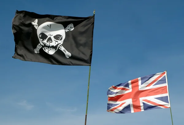 Gul blomma i profilイギリスに対して海賊 — ストック写真