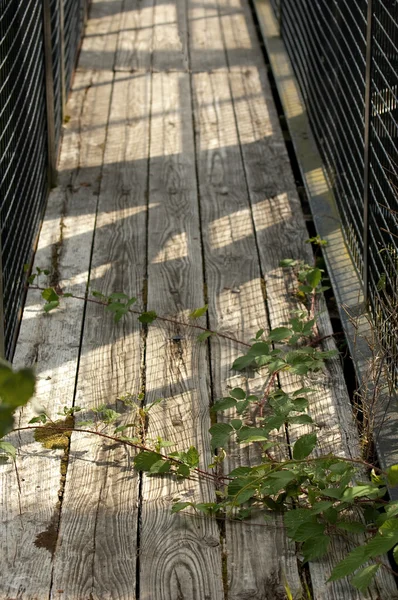 Ξεχαρβαλωμένος γέφυρα — Φωτογραφία Αρχείου
