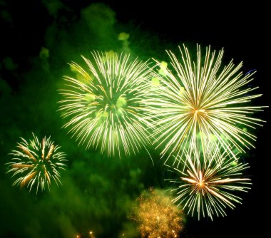 Fireworks (salute) clipart