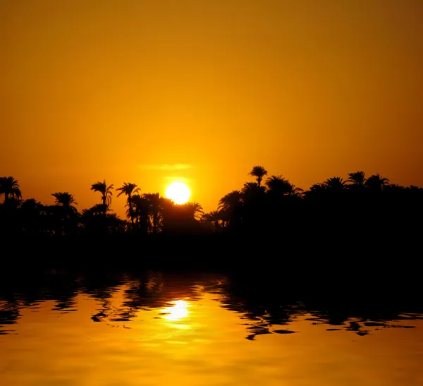 Solnedgång på Nilen — Stockfoto