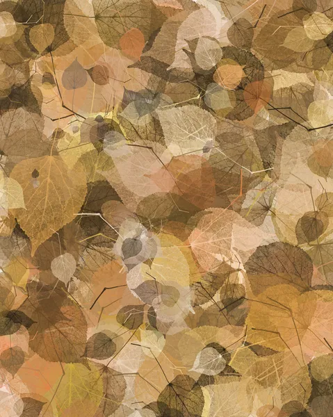 秋の葉の背景 — ストック写真