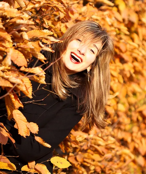 Höstens glada skönhet kvinna porträtt — Stockfoto