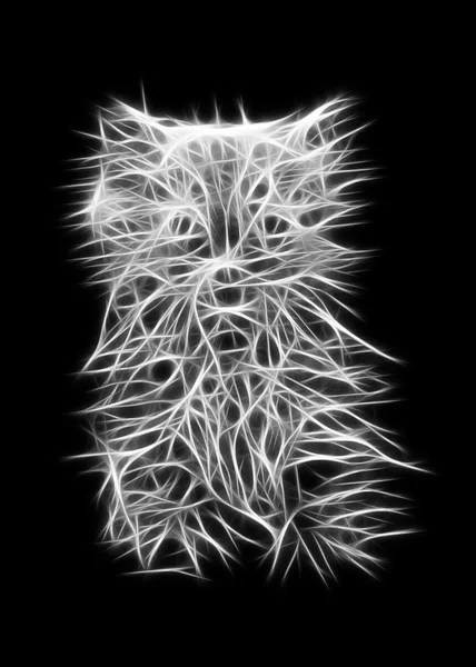 Abstrakt kattunge — Stockfoto