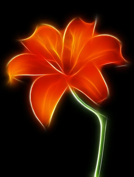 Kırmızı lilie — Stok fotoğraf