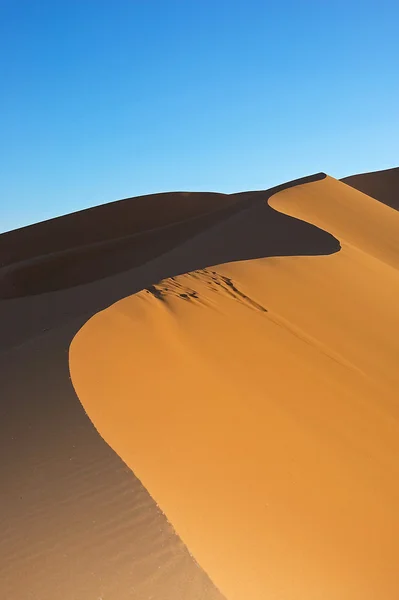 사하라 사막에서 모래 언덕 스톡 이미지
