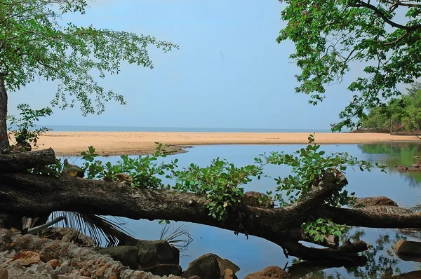 Eine landschaft in westafrika lizenzfreie Stockbilder
