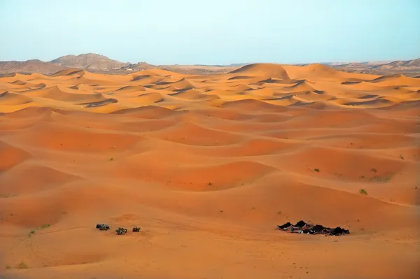 Wüste Sahara Stockfoto