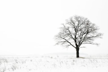 Winter loneliness clipart