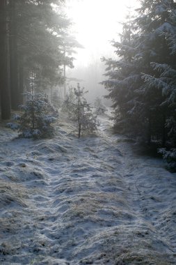 Foggy path clipart